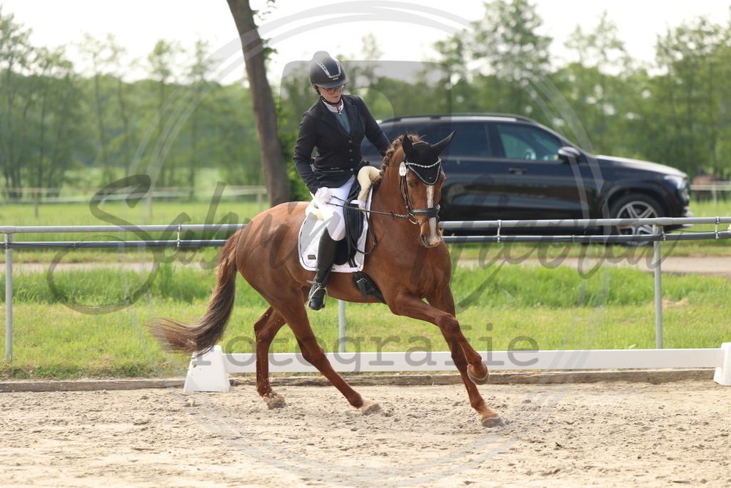 994A6376 | sabrinanicolaifotografie - Realisiert mit Pictrs.com