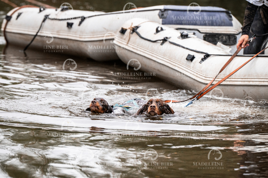 madeleinebirr-fotografie2025.campcanis.Startbis9Uhr-36 | hundefotografie-birr
