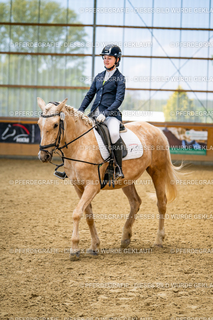 DSC03833 | Pferdegrafie