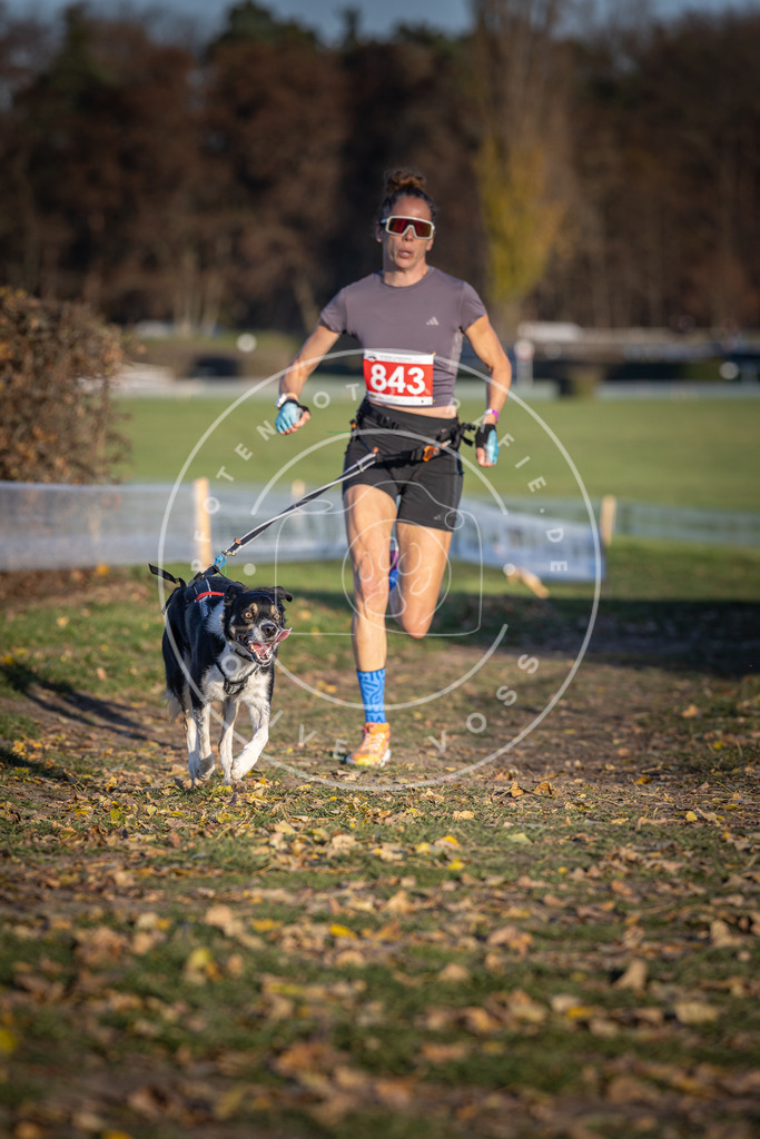 CaniXpix_DV3A3693 | Hundefotografie, Tierfotograf, Pfotenfotografie, Fotoshooting Hund, Hunde Portrait, Hundesport, Hundeportraits, Heideshooting, Hunde, Sportfotograf, Hundefotograf, Turnierhundsport, THS,  - Realisiert mit Pictrs.com