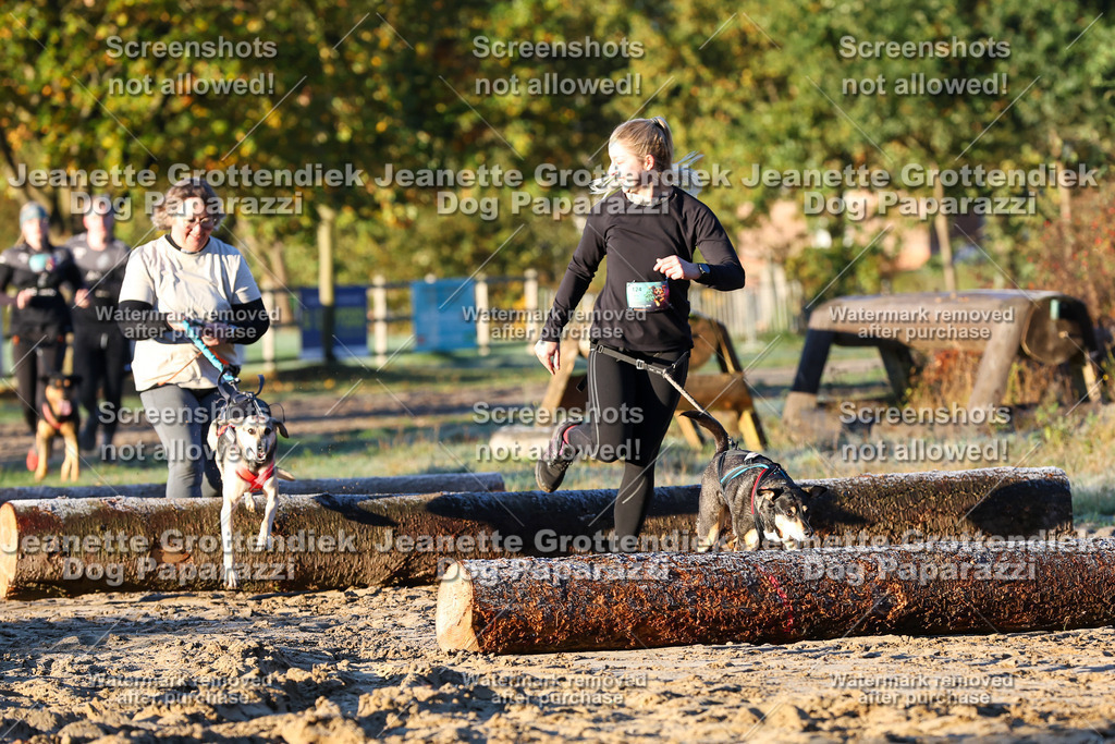 Dog Paparazzi - Strongdog 10-25-568 | Dog Paparazzi Jeanette Grottendiek Fotografie & Videografie - Realisiert mit Pictrs.com
