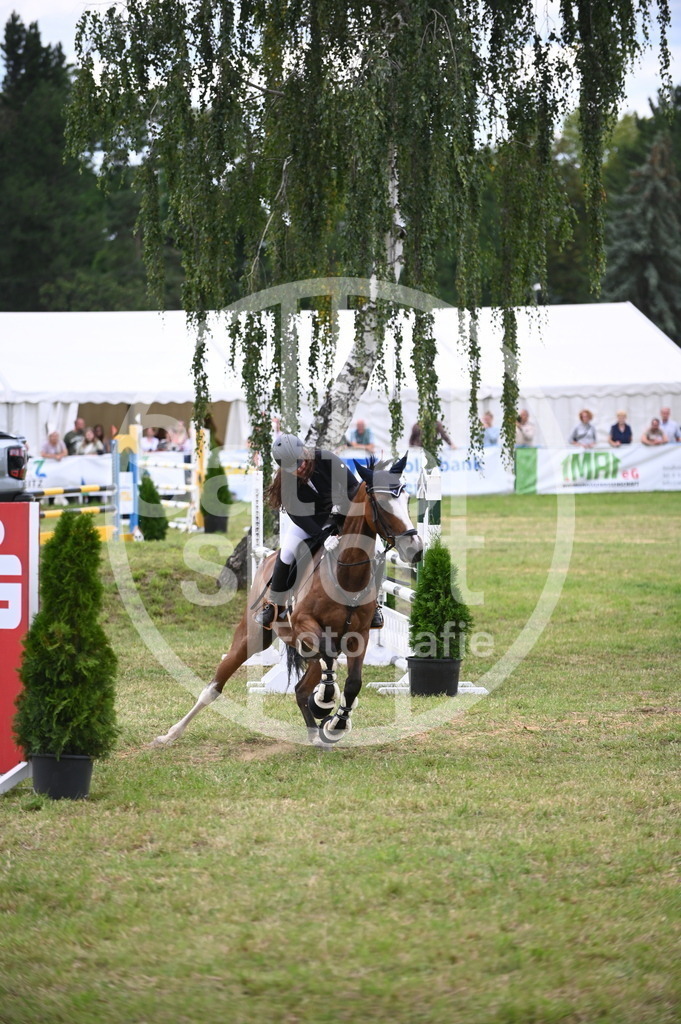 DSC_7259 | sattelsport - Realisiert mit Pictrs.com