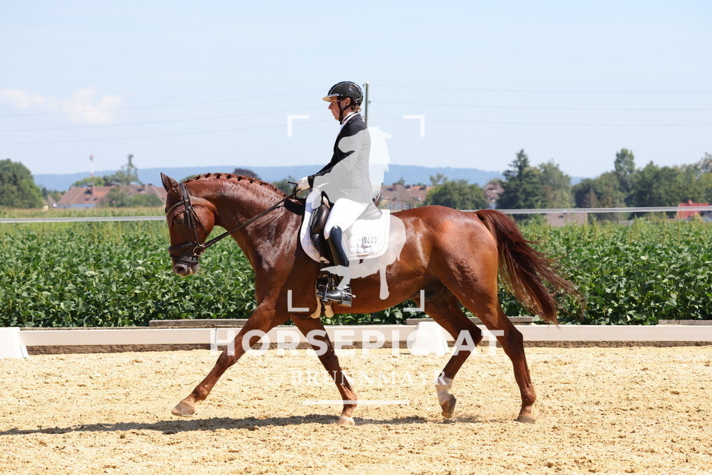 0P6A8271 | Willkommen bei Brunnmayr - Design & Fotografie – Ihrem Spezialisten für Reitturniere und Pferdeveranstaltungen in Oberösterreich, Salzburg und Bayern! Seit über 17 Jahren sind wir leidenschaftlich dabei.