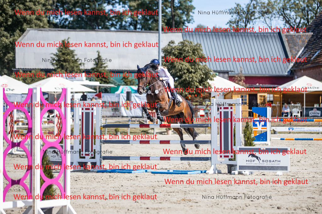 BK1A6946 | Turnierbilder Turnierfotos Nina Hüffmann Turnierfotografie Pferdefotografie Tierzeichnung Haustierzeichnung Pferdezeichnung Hundezeichnung Videograf  - Realisiert mit Pictrs.com