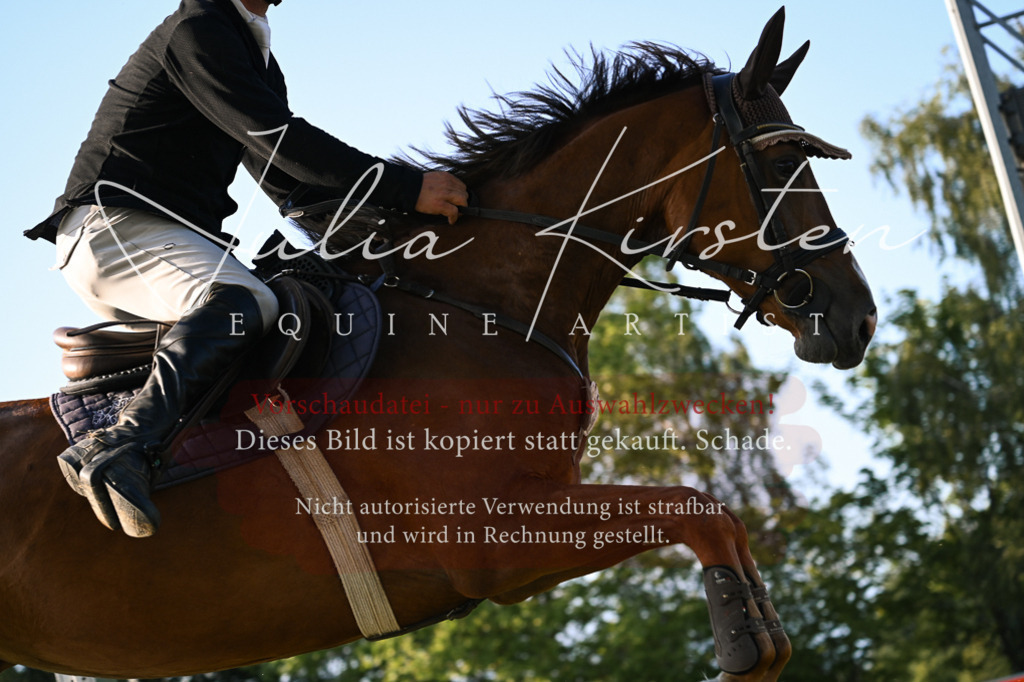 DSC_1836 | Pferde- und Turnierfotografie in Westsachsen. Pferdeportraits, Auftragszeichnungen und intuitive Kunst.