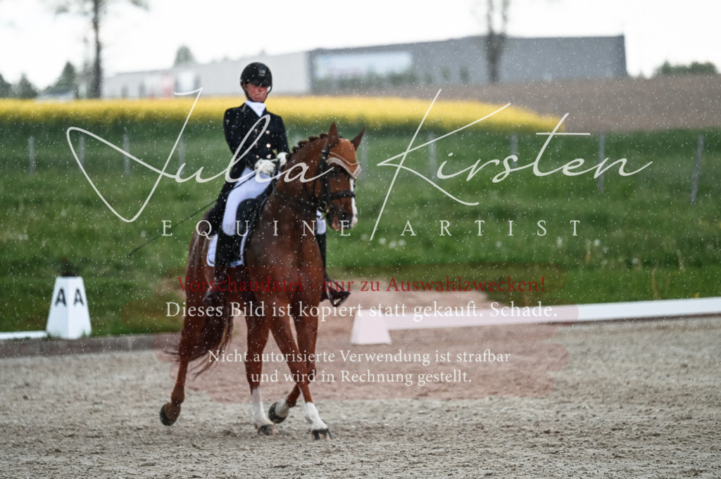 20230514_JK-Röhrsdorf-21-564 | Pferde- und Turnierfotografie in Westsachsen. Pferdeportraits, Auftragszeichnungen und intuitive Kunst.