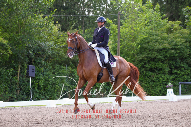 DKP41307 | Turnierfotos kaufen im Webshop von Daniel Kuhl Photography – entdecke professionelle Reitsportfotos aus Turnieren & Events. Hochwertige Turnierbilder online bestellen & sichern. Jetzt Fotos von Reitsportturnieren kaufen!