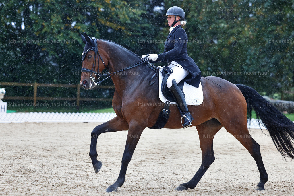8_1-020-Klasse S_  -StoibPH-3995 | working equitationturnier fotograf videograf stoibphotography marixx film working equitation deutschland reitsport turnierfotografie eventfotografie equestrian events