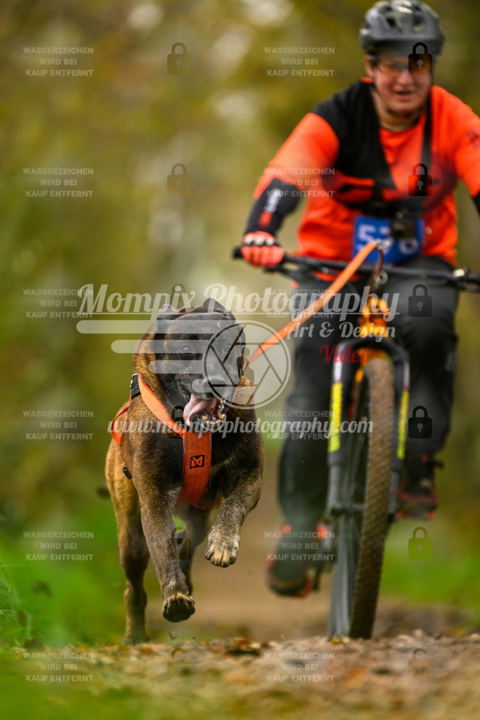 MompixPhotography_20TSB_E6_Bike-172 | PayLife