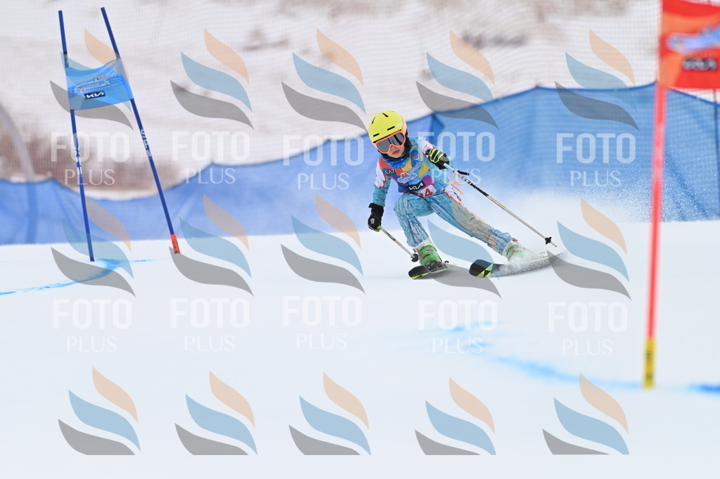 BGV_3277 | holidayphoto