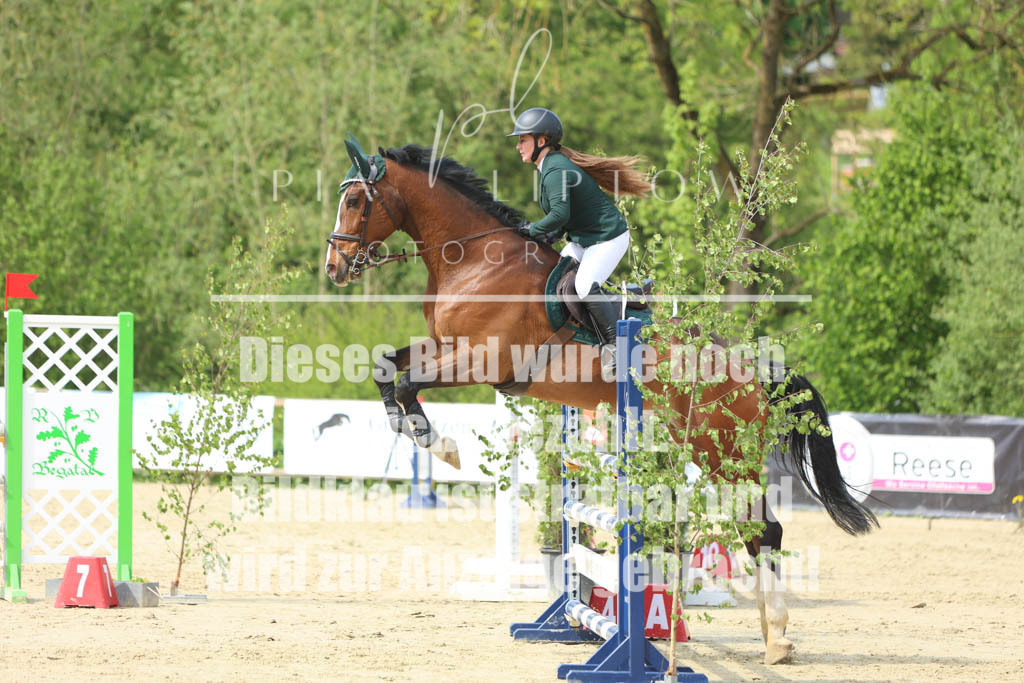 IMGM5842 | pl-fotografie