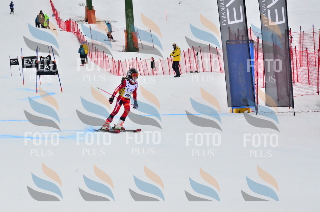 _ELE3679 | holidayphoto