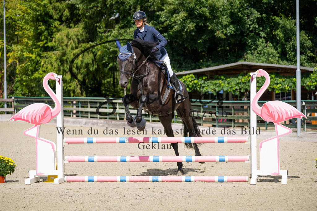 A7V07399 | Turnier/Reitfotograf