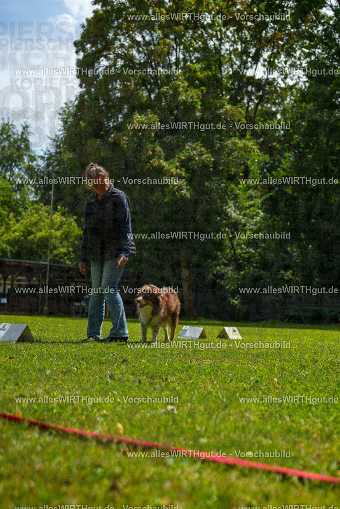 @allesWIRTHgut_Tierfotografie - www.allesWIRTHgut.de - 7R505428 | Professionelle Tierfotografie in Mönchengladbach von Daniel Wirth (allesWIRTHgut). Liebevolle & natürliche Bilder von Hunden & Katzen für unvergessliche Erinnerungen.