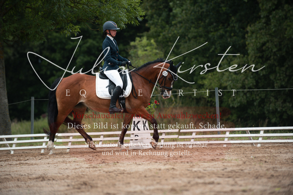 DSC_9827 | Pferde- und Turnierfotografie in Westsachsen. Pferdeportraits, Auftragszeichnungen und intuitive Kunst.