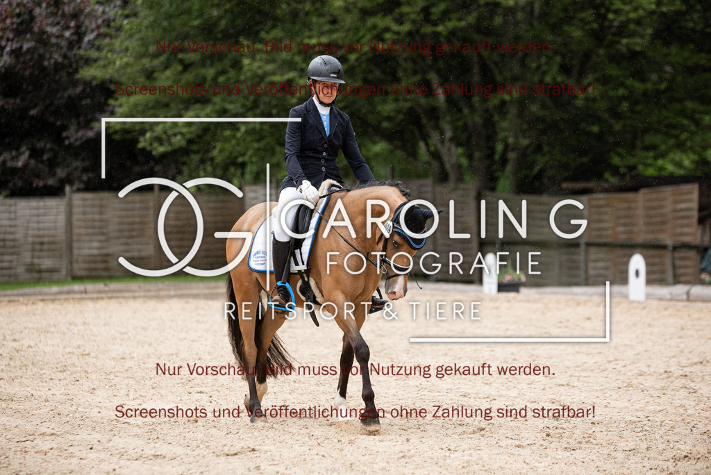 DSC_3117 | Turnierfotografin Carolin Gieschke,Reitsport Turnierfotografie Carolin G Fotografie | Turnierfotos aus Kirchheim/Teck, Esslingen, Stuttgart und dem Bodenseekreis