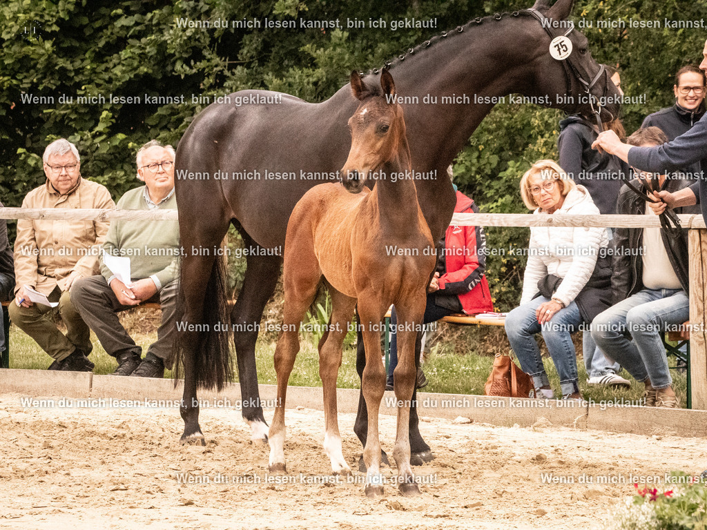 A10I1574 | photographylinaismer - Realisiert mit Pictrs.com