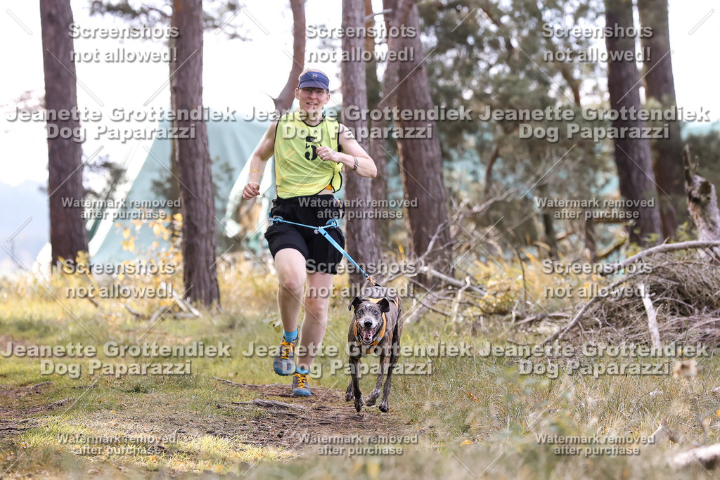 Dog Paparazzi - Elsholz 25 -190 | Dog Paparazzi Jeanette Grottendiek Fotografie & Videografie - Realisiert mit Pictrs.com