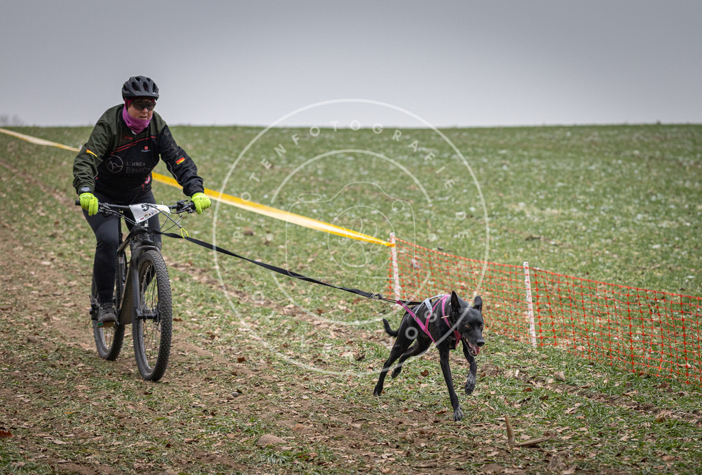 Pfotenfotografie_DV3A1635 | Hundefotografie, Tierfotograf, Pfotenfotografie, Fotoshooting Hund, Hunde Portrait, Hundesport, Hundeportraits, Heideshooting, Hunde, Sportfotograf, Hundefotograf, Turnierhundsport, THS,  - Realisiert mit Pictrs.com
