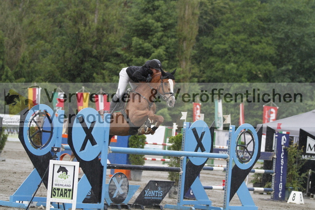 _MG_2894 | equestrian-live-com