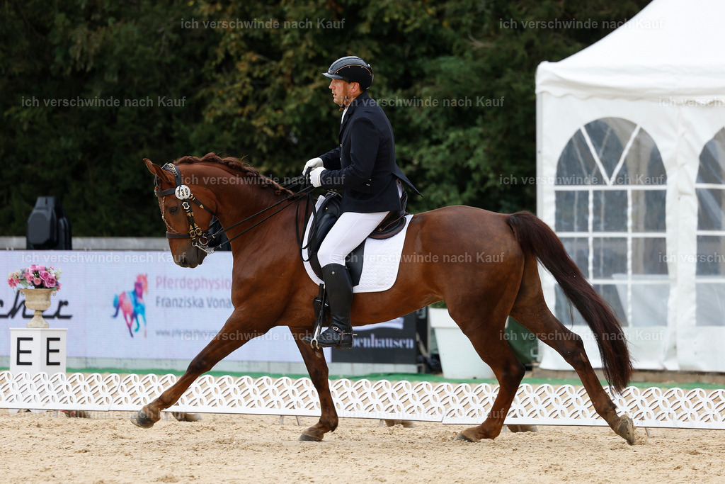 3-239-Dressur M_-StoibPH-2410 | working equitationturnier fotograf videograf stoibphotography marixx film working equitation deutschland reitsport turnierfotografie eventfotografie equestrian events