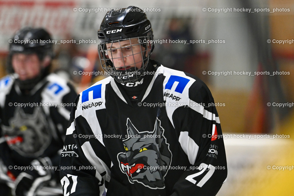 EC Tigers Paternion vs. Tarco Wölfe II | #27 Wirtitsch Benjamin Tarco Wölfe II, EC Tigers Paternion vs. Tarco Wölfe II, EC Tigers Paternion vs. Tarco Wölfe II am 19.12.2024 in Spittal an der Drau (Eissportzentrum Spittal), Austria, (Photo by Bernd Stefan)