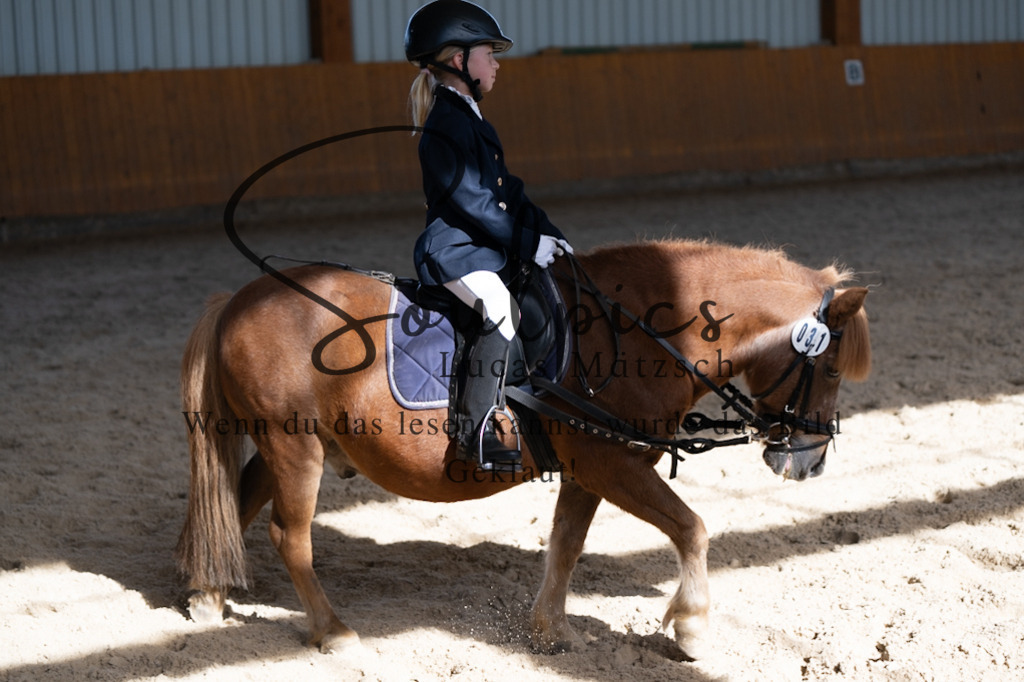A7V02130 | Turnier/Reitfotograf