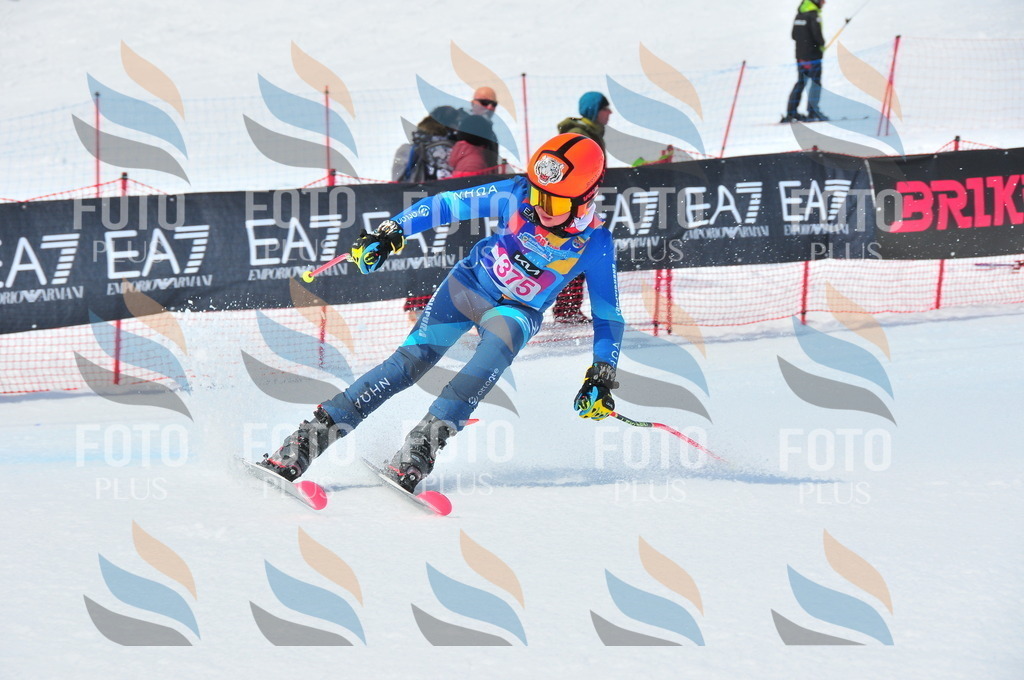 DSC_7170 | holidayphoto