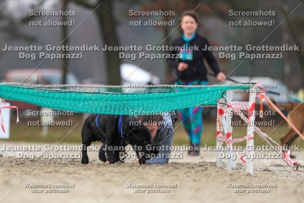 Dog Paparazzi - Strongdog North Mrz26-4521 | Dog Paparazzi Jeanette Grottendiek Fotografie & Videografie - Realisiert mit Pictrs.com