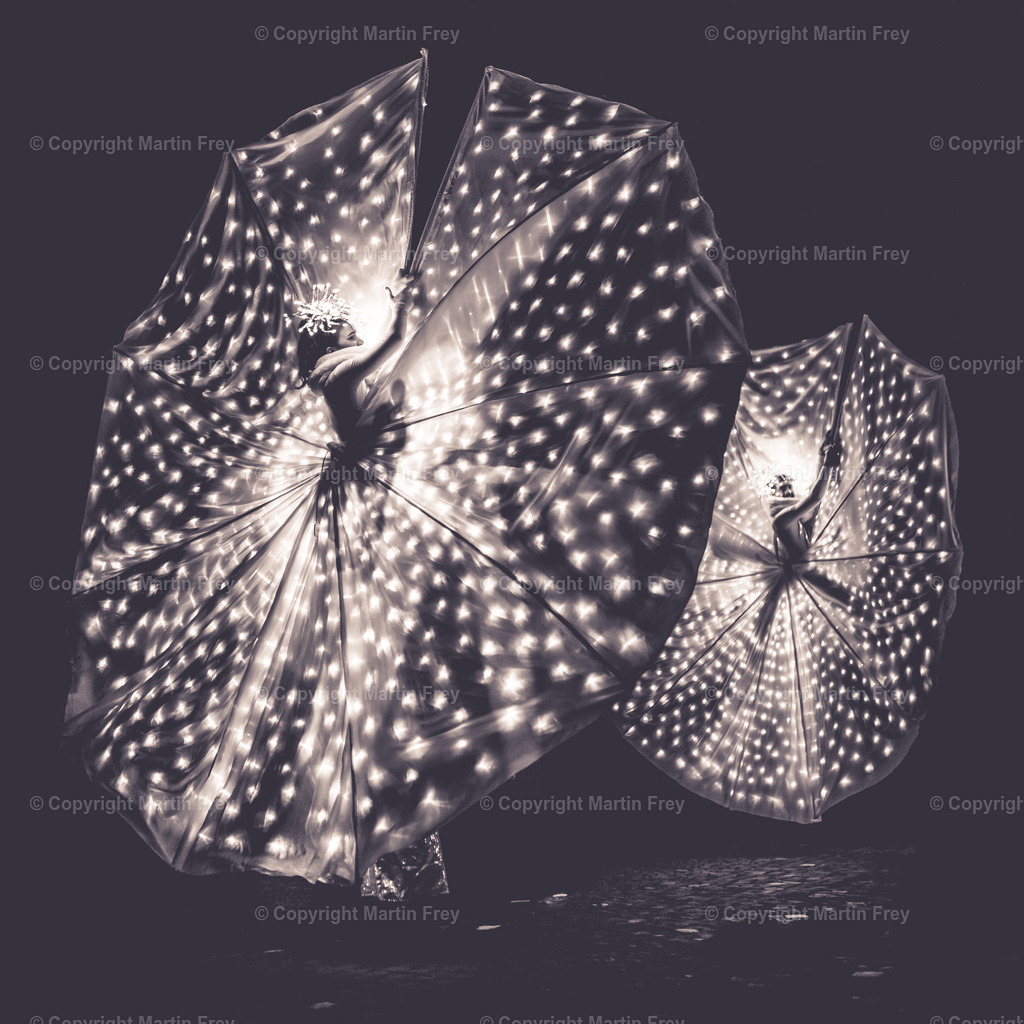 In love with butterflies | Murten Lichtfestival 2019 - Realisiert mit Pictrs.com