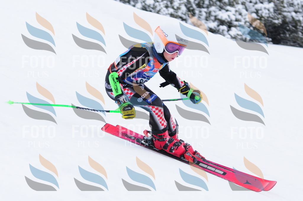 C3228 | holidayphoto