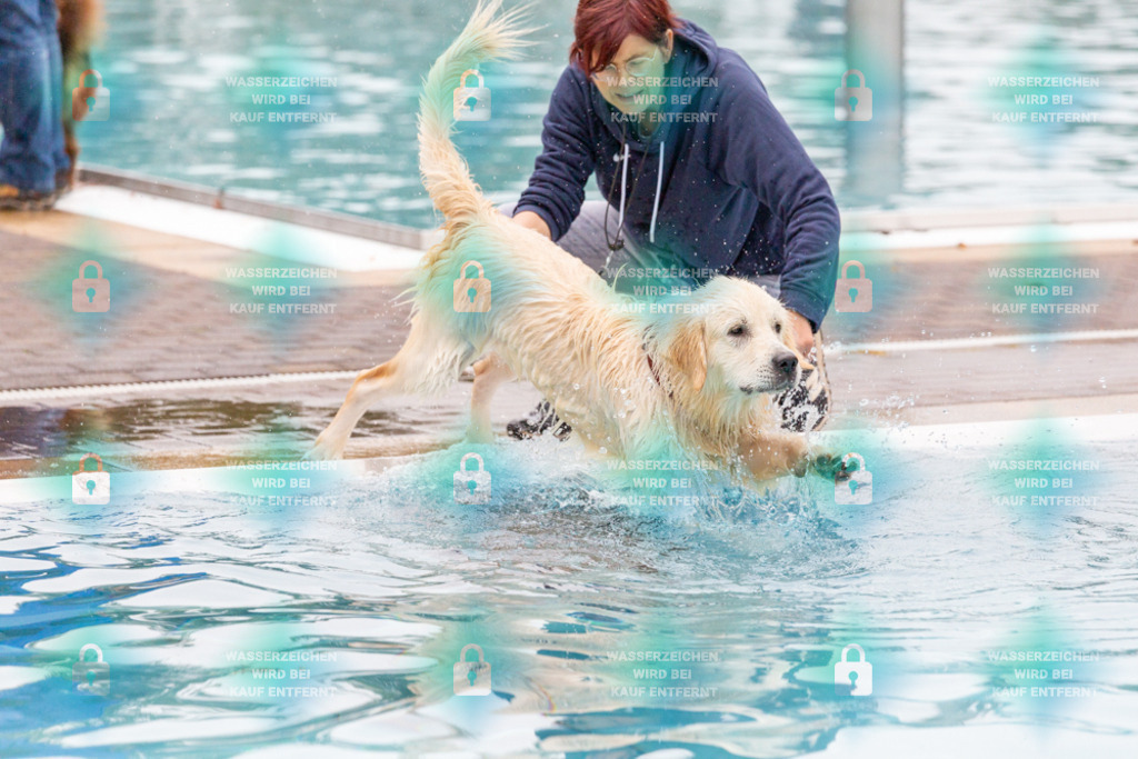 _HP_7217_1000o | HetPix, HetPix Fotodesign, Fotografie, Fotodesign, Webshop, Sportfotografie, Portraitfotografie, Onlineshop, Sportfotografie, Polch, Motorsportfotografie, Eventfotografie