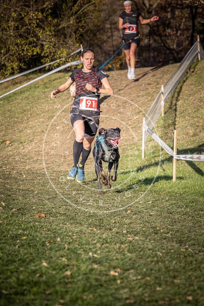 CaniXpix_0L8A9346 | Hundefotografie, Tierfotograf, Pfotenfotografie, Fotoshooting Hund, Hunde Portrait, Hundesport, Hundeportraits, Heideshooting, Hunde, Sportfotograf, Hundefotograf, Turnierhundsport, THS,  - Realisiert mit Pictrs.com