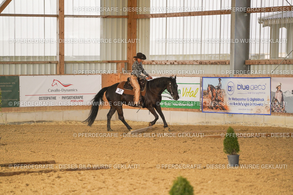 DSC01902 | Pferdegrafie