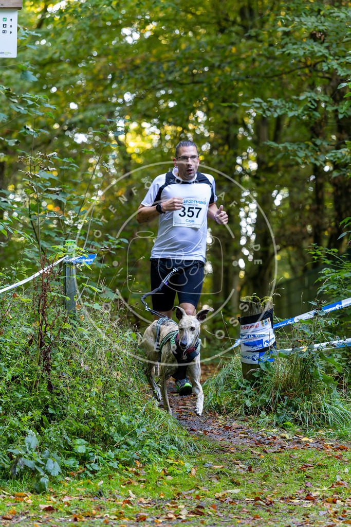 Pfotenfotografie_DV3A7528 | Hundefotografie, Tierfotograf, Pfotenfotografie, Fotoshooting Hund, Hunde Portrait, Hundesport, Hundeportraits, Heideshooting, Hunde, Sportfotograf, Hundefotograf, Turnierhundsport, THS,  - Realisiert mit Pictrs.com