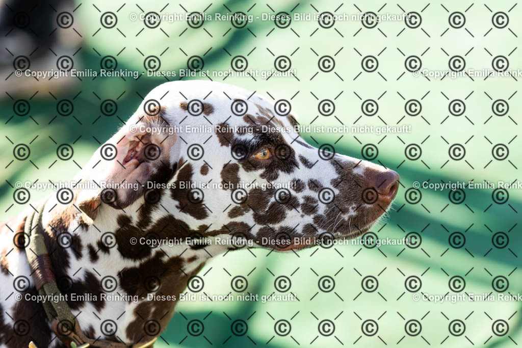 CL5A0951 | Emilia Reinking Fotografie - Realisiert mit Pictrs.com