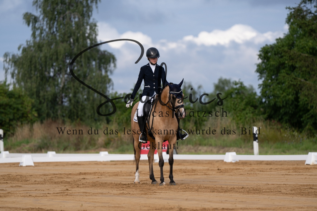 A7V05097 | Pferdefotograf