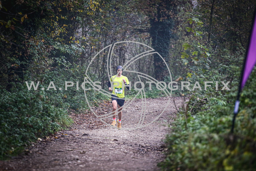 ..... | AUSTRIA, 09.11.24, Leonding,TGW KÜRNBERGTRAILRUN, Image shows: Photo: Wapics / Andreas Willdoner