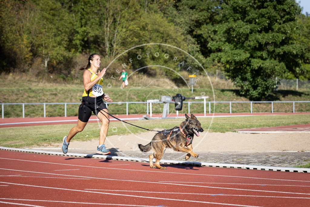 Pfotenfotografie_DV3A9770 | Hundefotografie, Tierfotograf, Pfotenfotografie, Fotoshooting Hund, Hunde Portrait, Hundesport, Hundeportraits, Heideshooting, Hunde, Sportfotograf, Hundefotograf, Turnierhundsport, THS,  - Realisiert mit Pictrs.com