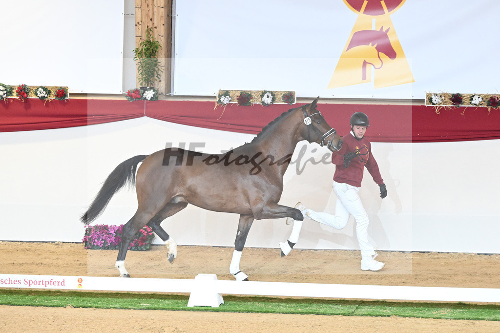 Kat-Nr. 75 Valverde_Schoenland_1230441 | hf-fotografie - Realisiert mit Pictrs.com