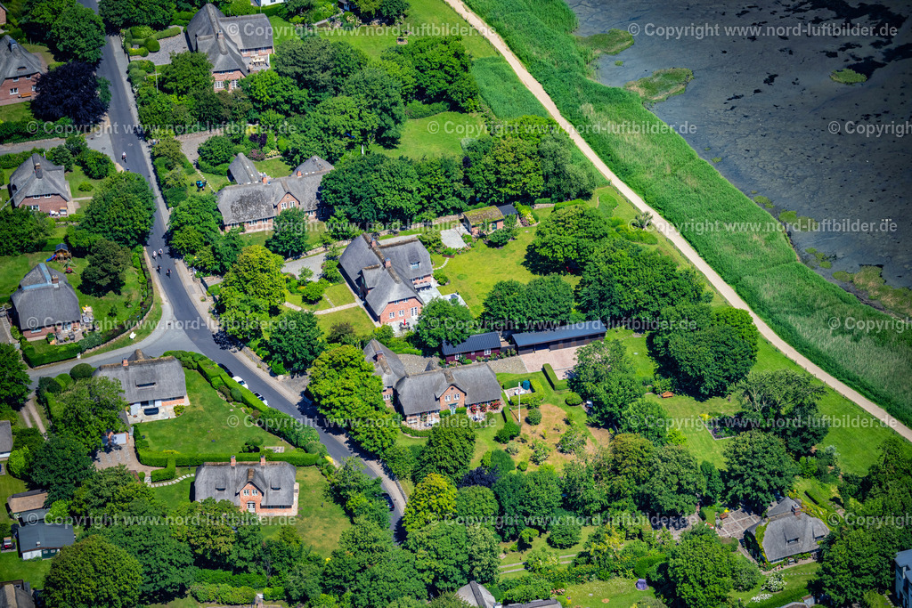 Sylt_Keitum_Am_Kliff_ELS_0074210625 | KEITUM 21.06.2025 Ortsansicht an der Meeres-Küste Straße Am Kliff in Keitum auf der Insel Sylt im Bundesland Schleswig-Holstein, Deutschland. // View of the sea coast street Am Kliff in Keitum on the island of Sylt in the federal state of Schleswig-Holstein, Germany. Foto: Martin Elsen