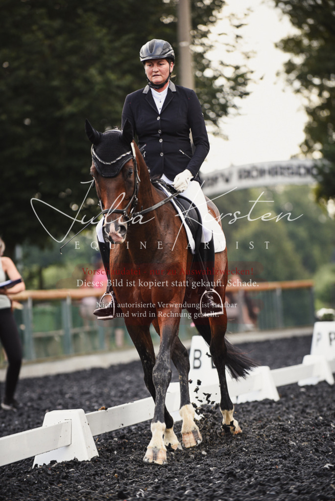 DSC_4025 | Pferde- und Turnierfotografie in Westsachsen. Pferdeportraits, Auftragszeichnungen und intuitive Kunst.