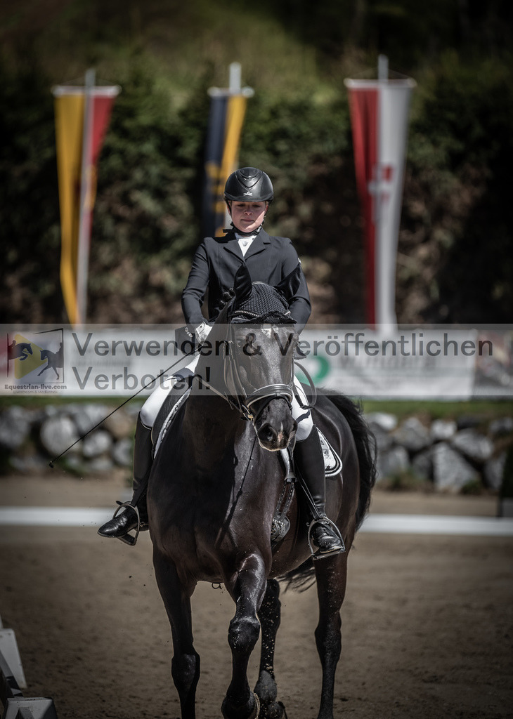 DSC_0145 | equestrian-live-com