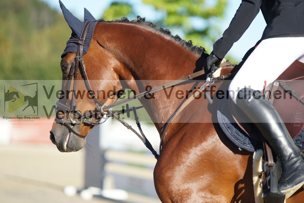 DSC08178 | equestrian-live-com
