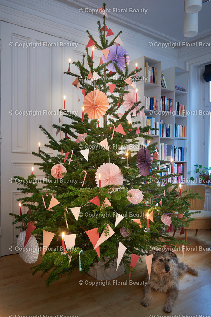 Modern geschmückter Tannenbaum | moderner Tannenbaum im Wohnzimmer mit Hund - Realisiert mit Pictrs.com