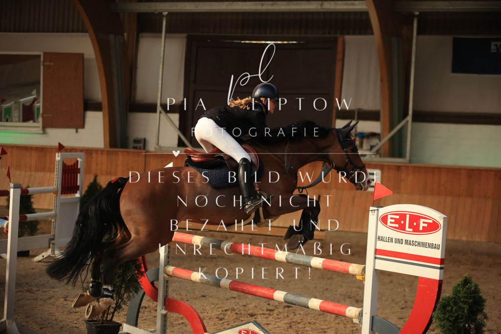 IMGT1024 | pl-fotografie