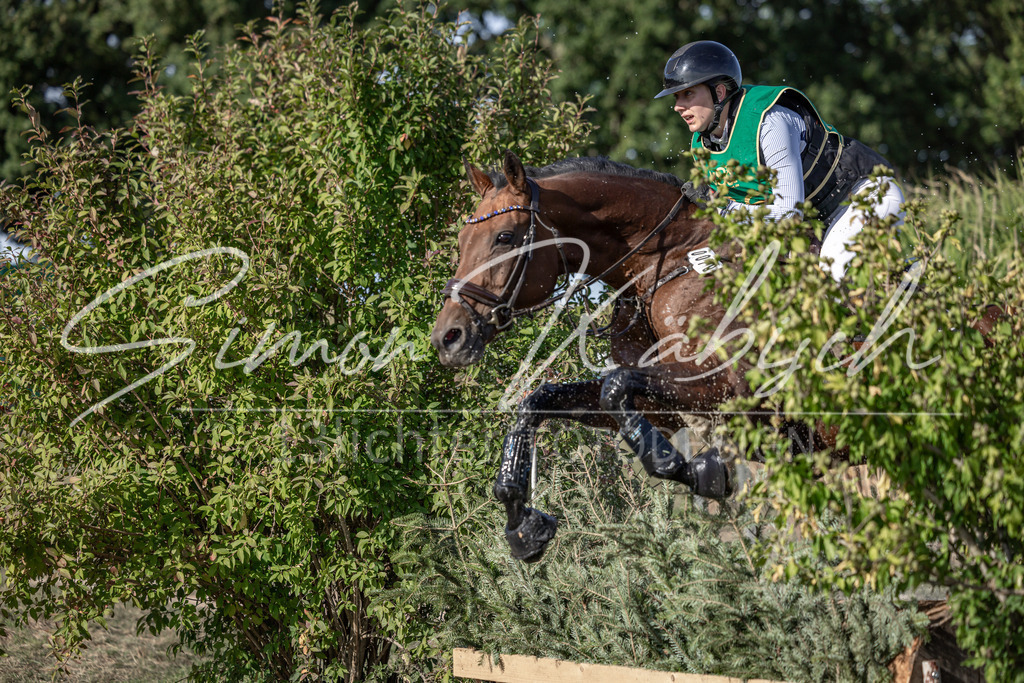 20250907-_3LI3768 | Tierfotografie Pferde, Hunde, Katzen, Haustiere.
Turnierfotografie Reitturniere, Reiten, Springreiten, Dressur in Hanau, dem Main-Kinzig-Kreis und dem Rhein-Main- Gebiet um Frankfurt