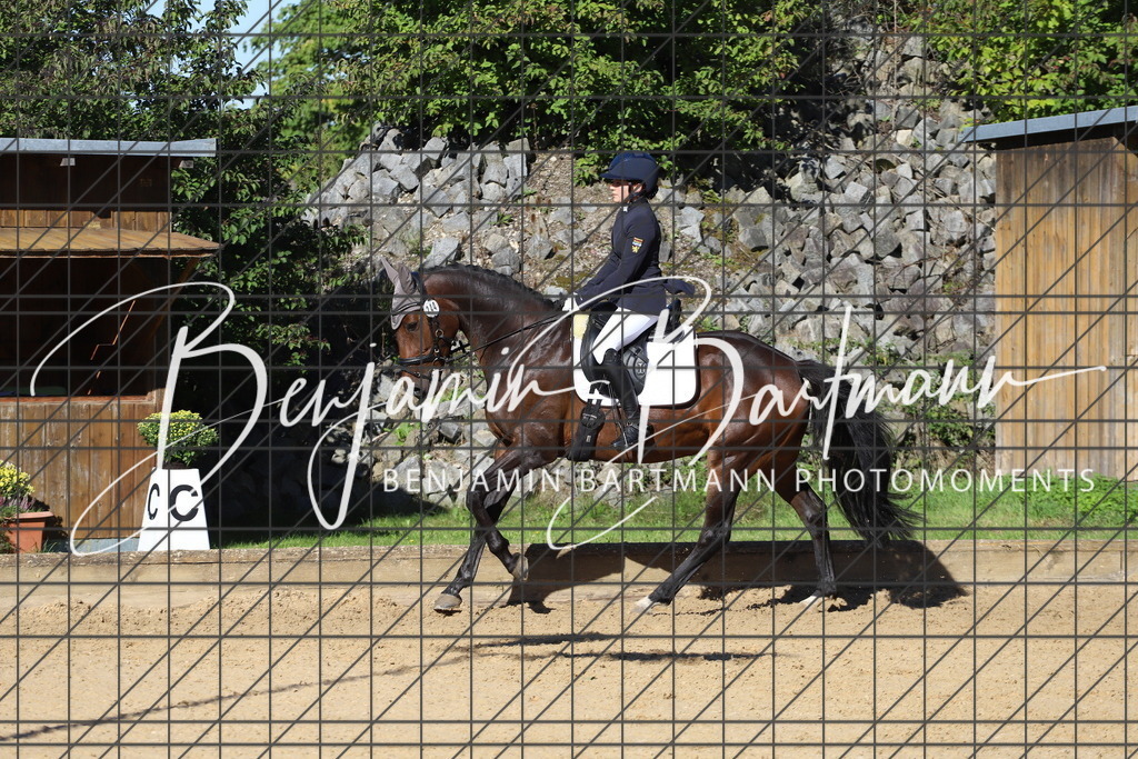 IMG_5190 | Benjamin Bartmann Photomoments