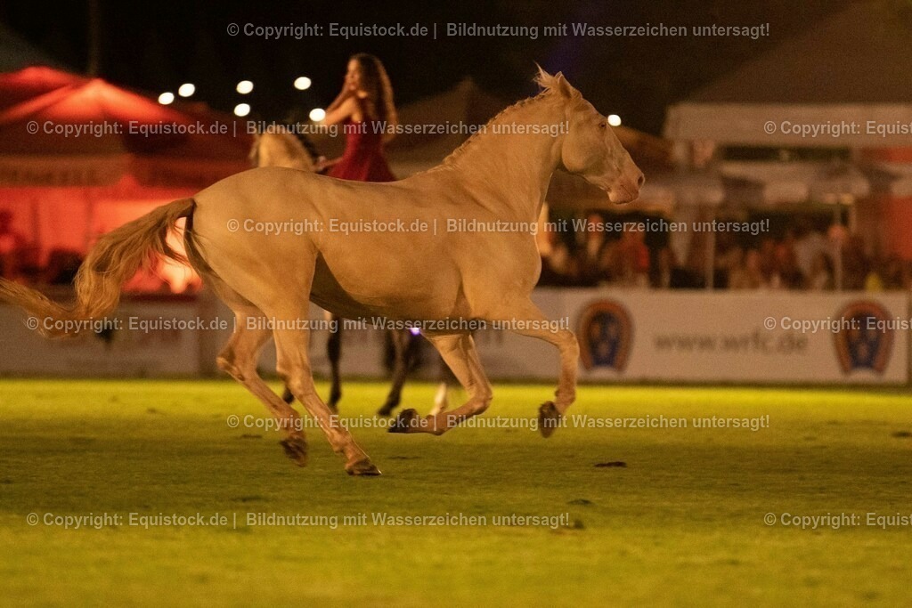 20230526_Pferdenacht_1496 | equistock