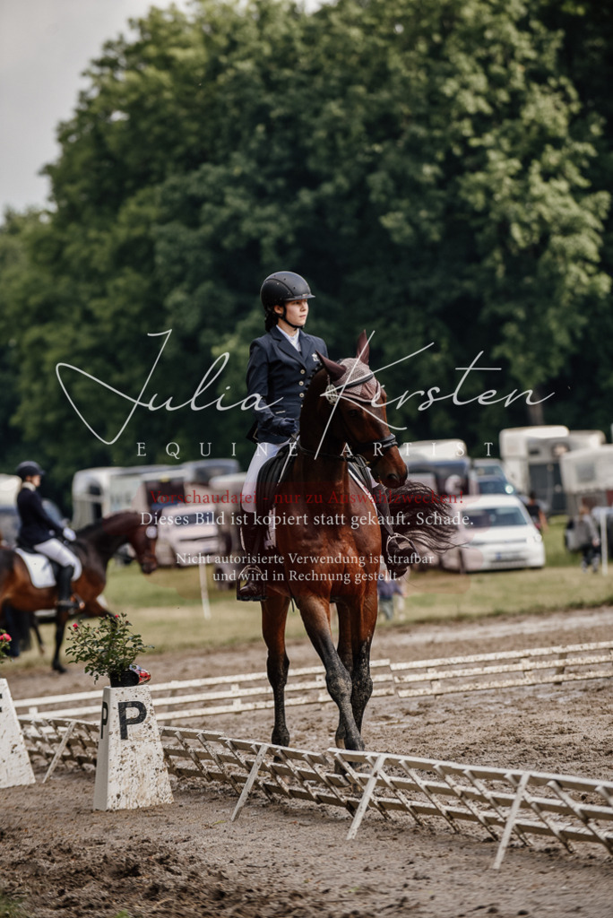 DSC_8665 | Pferde- und Turnierfotografie in Westsachsen. Pferdeportraits, Auftragszeichnungen und intuitive Kunst.
